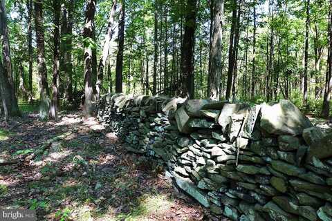 81 UPPER CREEK, STOCKTON, NJ 08559