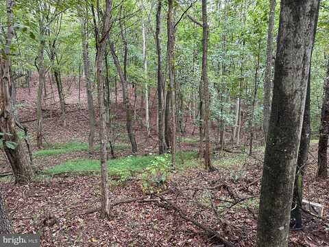 564 SHADE LANE, BERKELEY SPRINGS, WV 25411