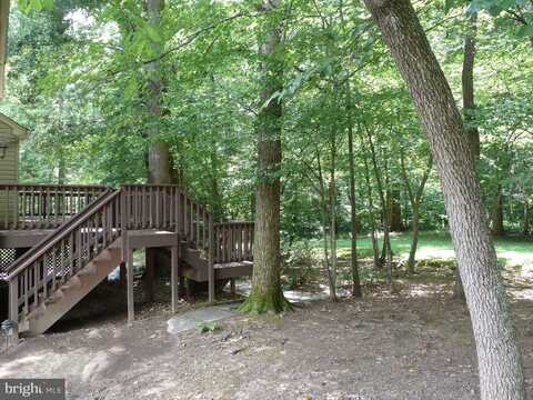 3404 OLIVE BRANCH DRIVE, SILVER SPRING, MD 20904
