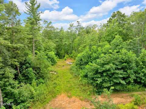 162 Murph Potter Lane, Roan Mountain, TN 37687