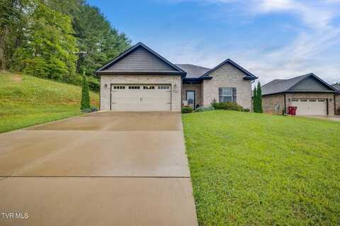 116 Celtic Court, Johnson City, TN 37604