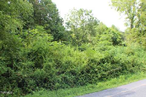 0 Early Branch Road, Rogersville, TN 37857