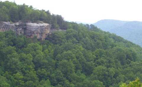 Lot 65 Panther Falls, WILDER, TN 38589