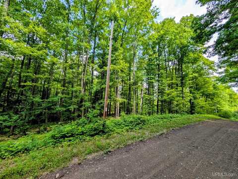 15 acres Fettig, Iron River, MI 49935