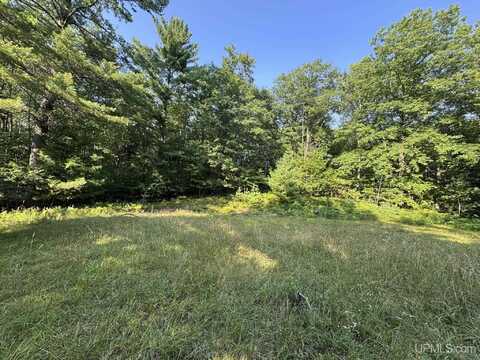 N410 Homestead, Vulcan, MI 49892
