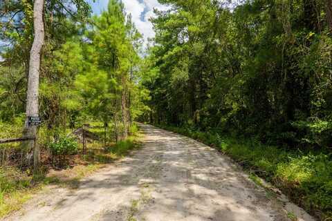 99 Eagle Nest, Fargo, GA 31631