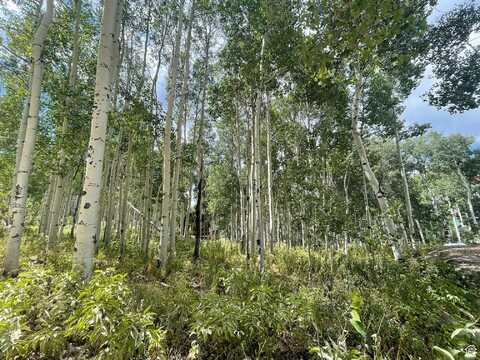 11485 VIOLET, Heber City, UT 84032
