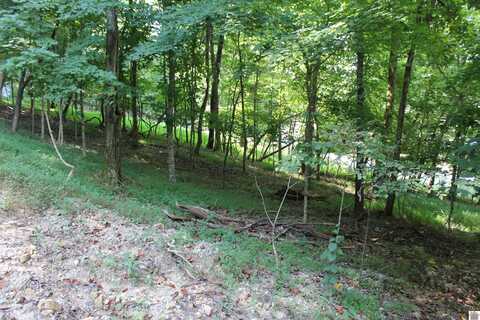350 Oriole Drive, Eddyville, KY 42038