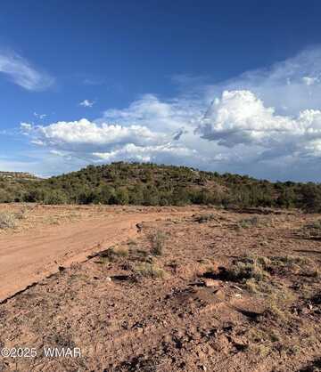Tbd 404-63-015D, White Mountain Lake, AZ 85912