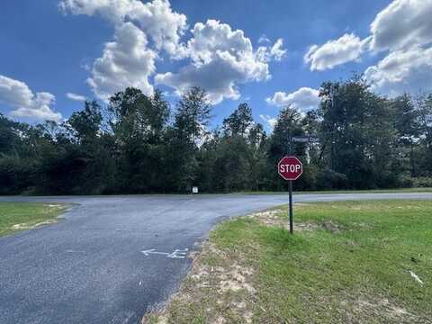 00 Pinecrest Court, Vidalia, GA 30474