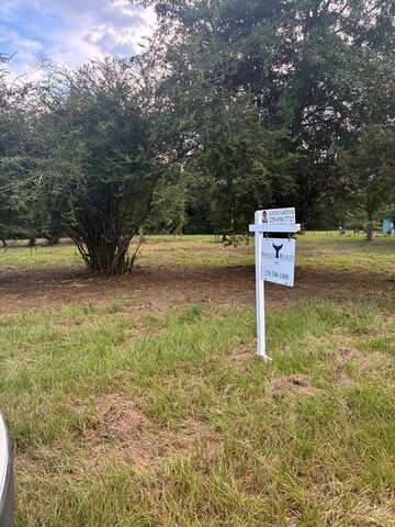 569 Henry Hart Rd, Leslie, GA 31764