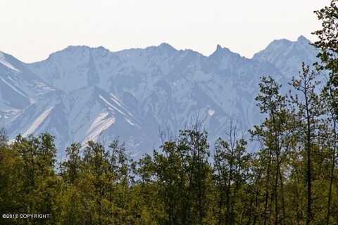 Tr D Primrose Pointe, Wasilla, AK 99654