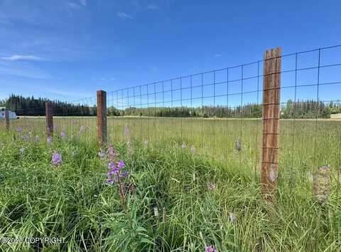 35620 Robinson Loop Road, Sterling, AK 99672