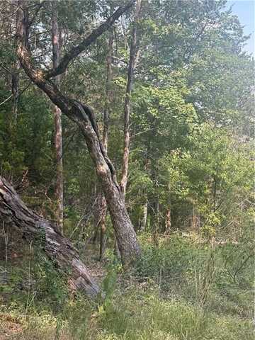 74 Twin Peak DR, Holiday Island, AR 72631