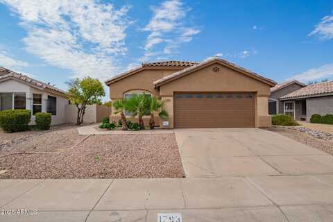 1793 E GAIL Drive, Chandler, AZ 85225