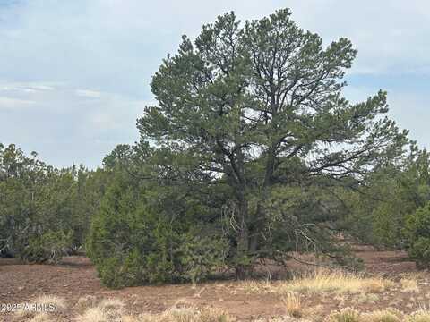 Lot 2 Stanford Drive, Vernon, AZ 85940