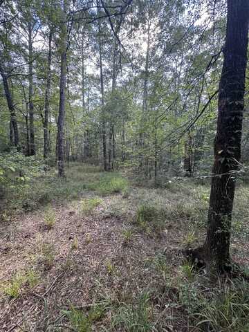 0000 US Hwy 287, Chester, TX 75936