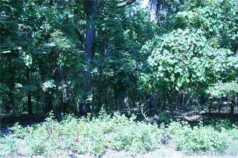 Cherokee Road lot: 770, Lake Ozark, MO 65049