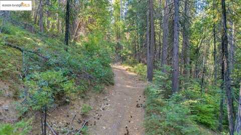 0 Fallen Leaf LN, Twain Harte, CA 95383