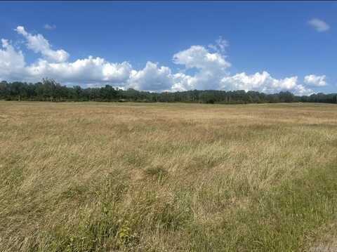 00 Bailey Branch Rd, Danville, AR 72824