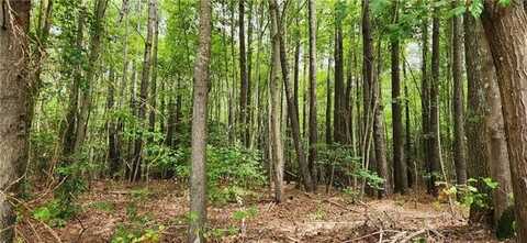 39.14.1 Hudgins Lane, Susan, VA 23163