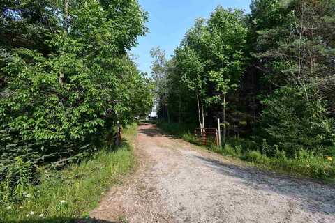9537 LAKEVIEW, ALANSON, MI 49706