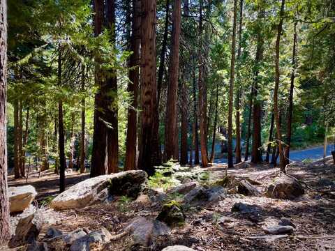 3285 Pocatello Circle, Camp Connell, CA 95223