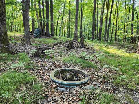 5296 Fawn, Farwell, MI 48622