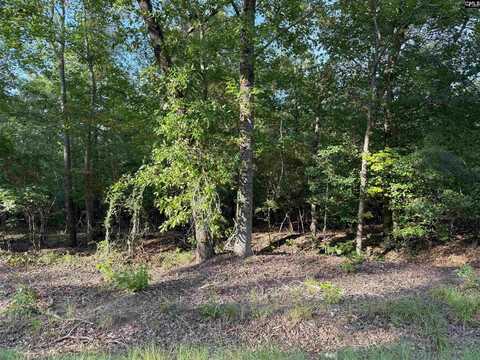 204 Willie Wilson Road, Eastover, SC 29044