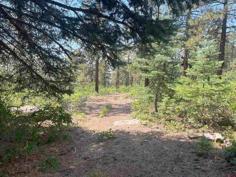 17 Snow Way Drive, Bayfield, CO 81122