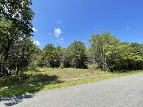 L18.11 Old Kings Road, Hannacroix, NY 12087