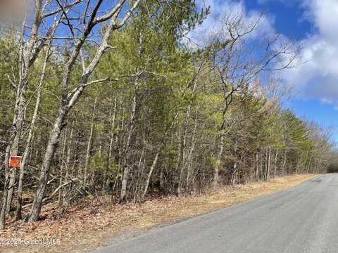 L18.12 Old Kings Road, Hannacroix, NY 12087