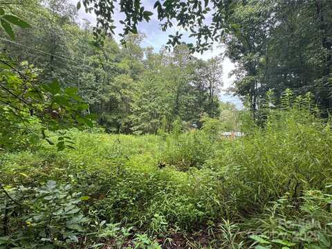 302 Wilson Cove Road, Swannanoa, NC 28778
