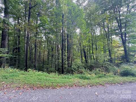 13 Fern Trail, Waynesville, NC 28786