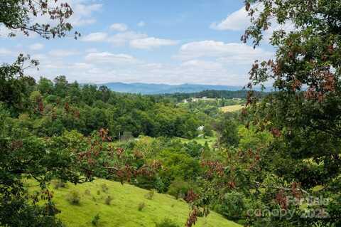 28 Trinity Hills Drive, Weaverville, NC 28787