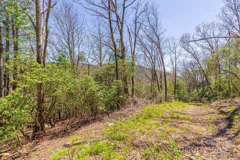 99999 Fairview Forest Drive, Fairview, NC 28730