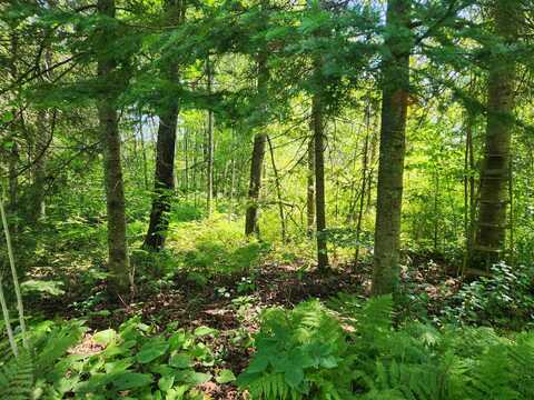 XXX Creek Tr, Bayfield, WI 54814