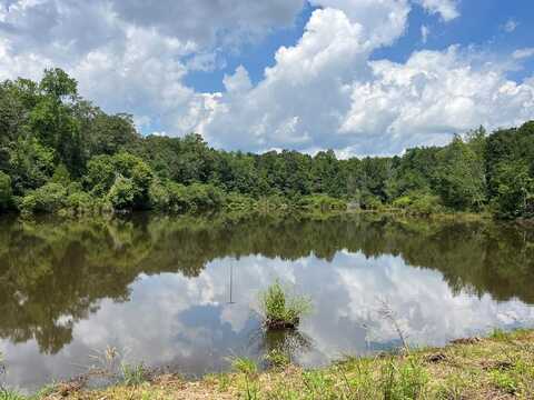 TBD County Road 40, Abbeville, AL 36310