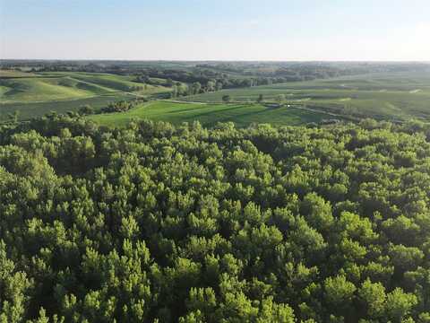 150th Avenue, Sigourney, IA 52563