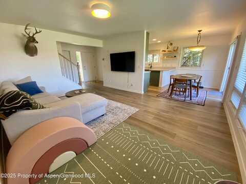 1167 Vitos Way, Carbondale, CO 81623