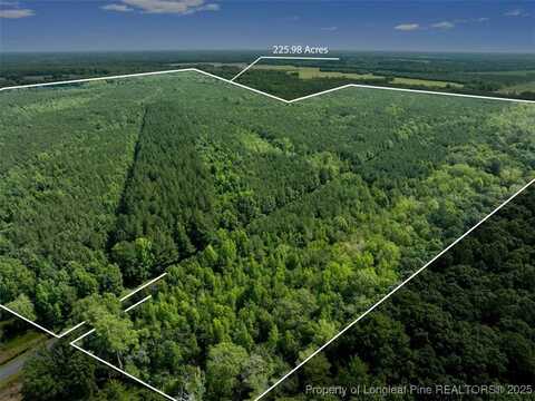Rich Walker Road, Wade, NC 28395