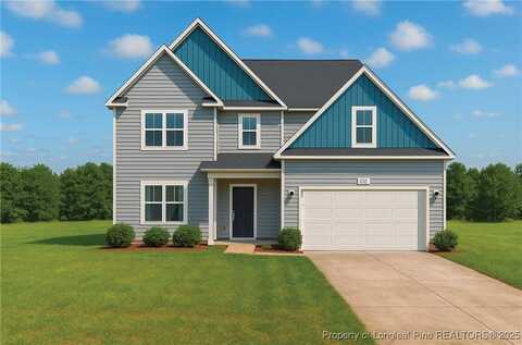 3937 Blue Springs (Lot 1) Road, Red Springs, NC 28377