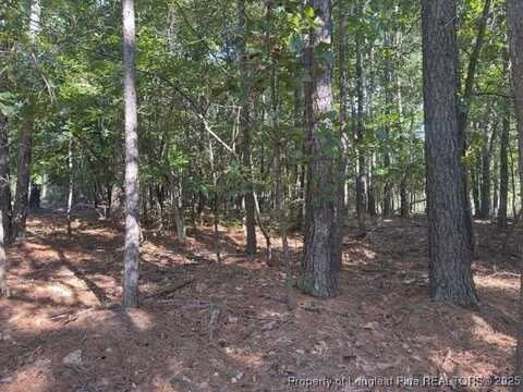 87 Canterbury Road, Sanford, NC 27332