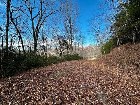Lot 47 N. Nickajack Rd, Franklin, NC 28734