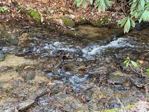 Lot 38 Brush Creek Mountain Rd, Bryson City, NC 28713