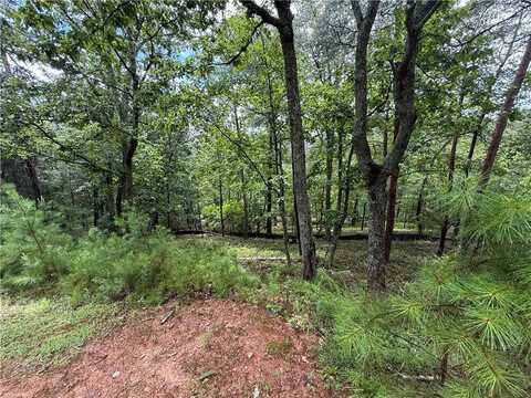 16 Ridgewater, Cartersville, GA 30012