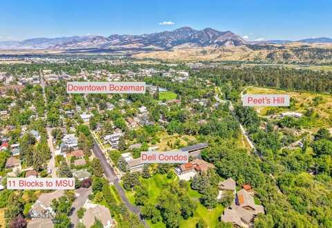610 Dell Place unit: 10, Bozeman, MT 59715