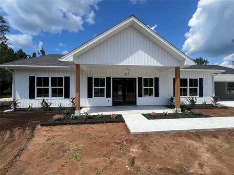 388 Big Horse Drive, Waynesville, GA 31566
