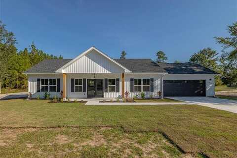 388 Big Horse Drive, Waynesville, GA 31566