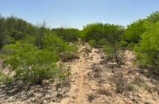 000 CR 231, Premont, TX 78375